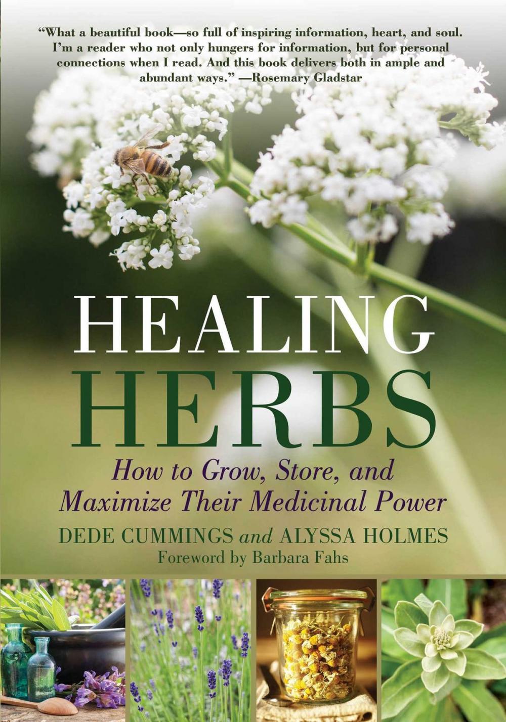 Big bigCover of Healing Herbs