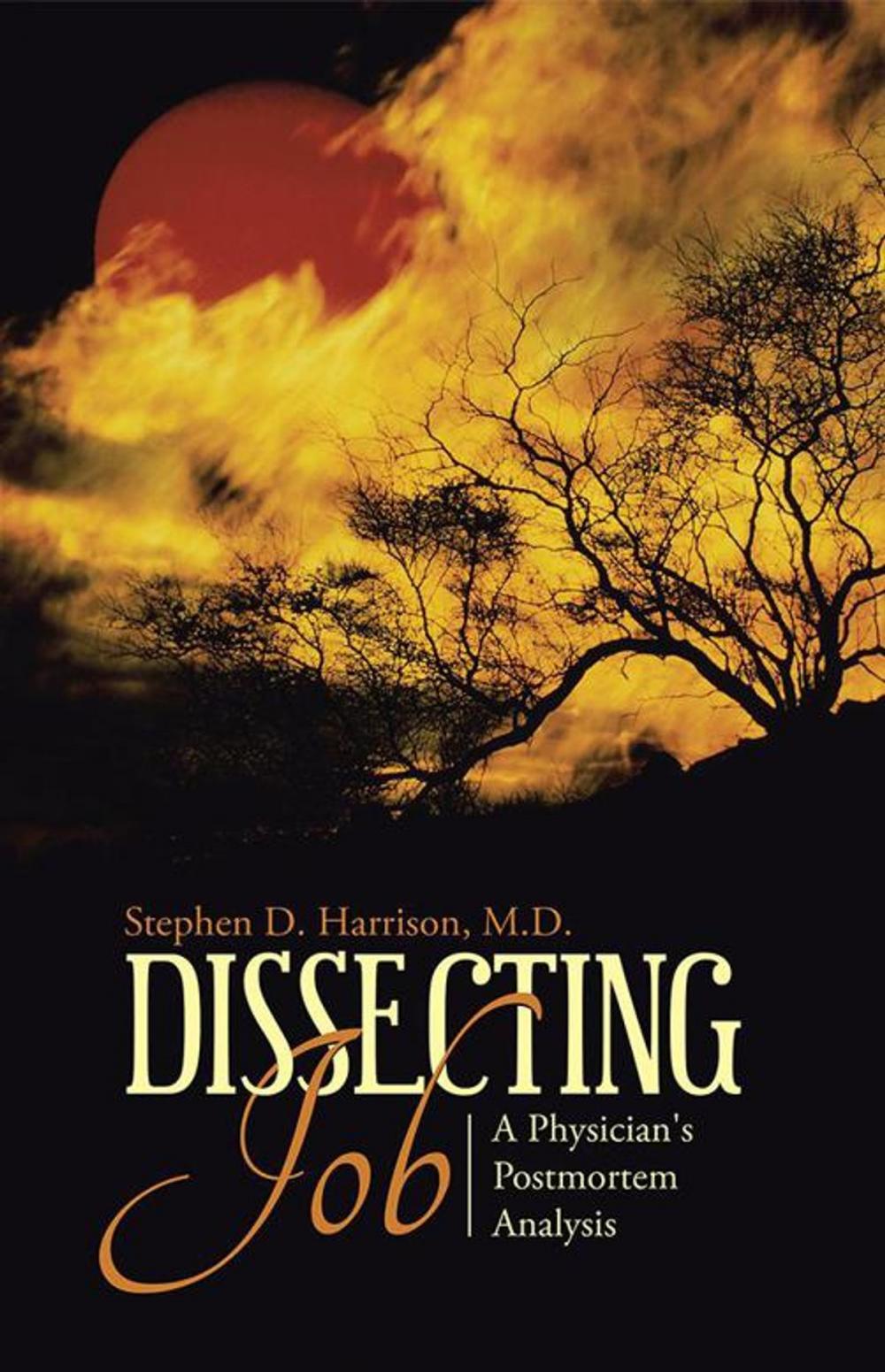 Big bigCover of Dissecting Job