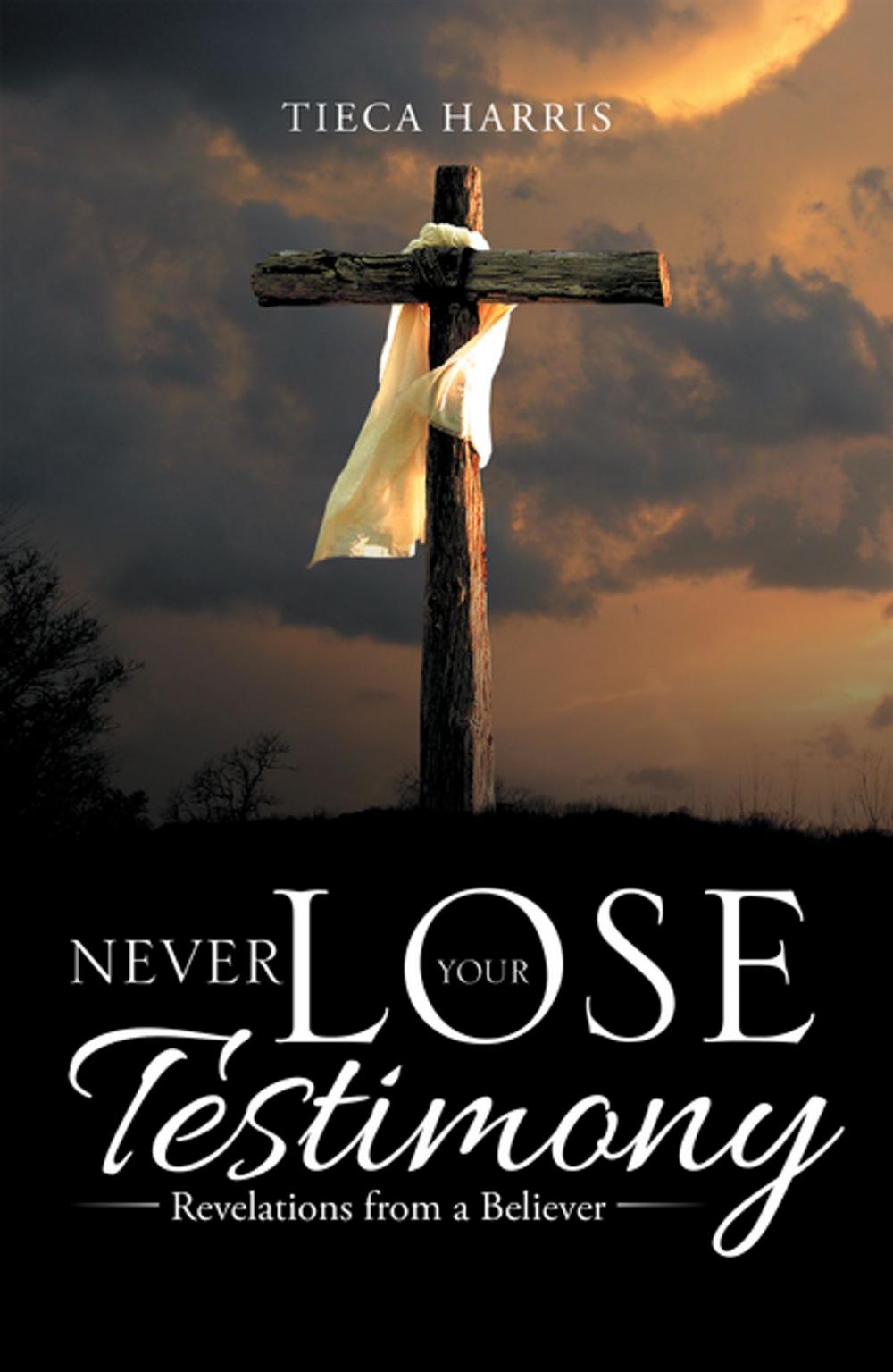 Big bigCover of Never Lose Your Testimony