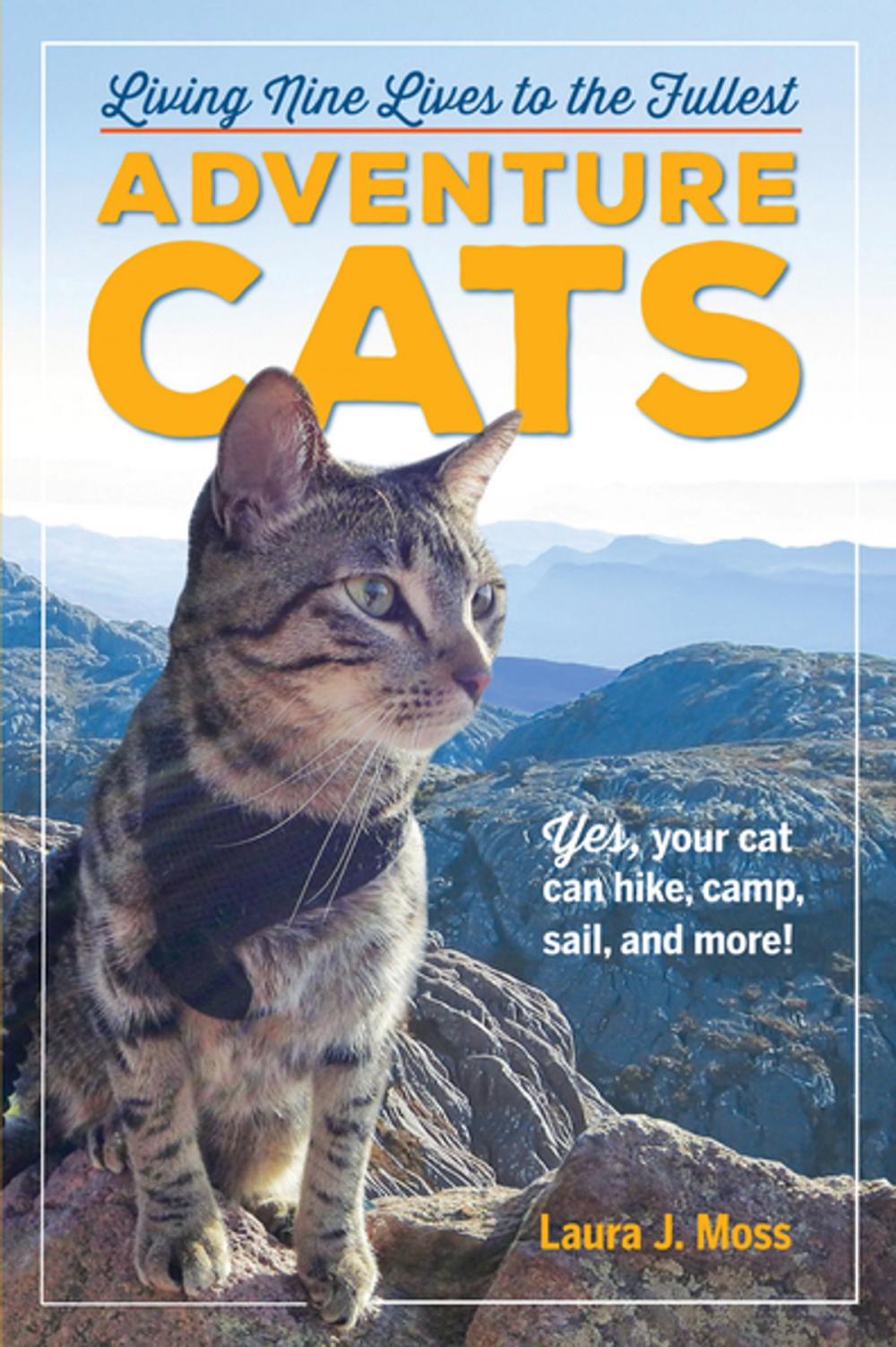 Big bigCover of Adventure Cats