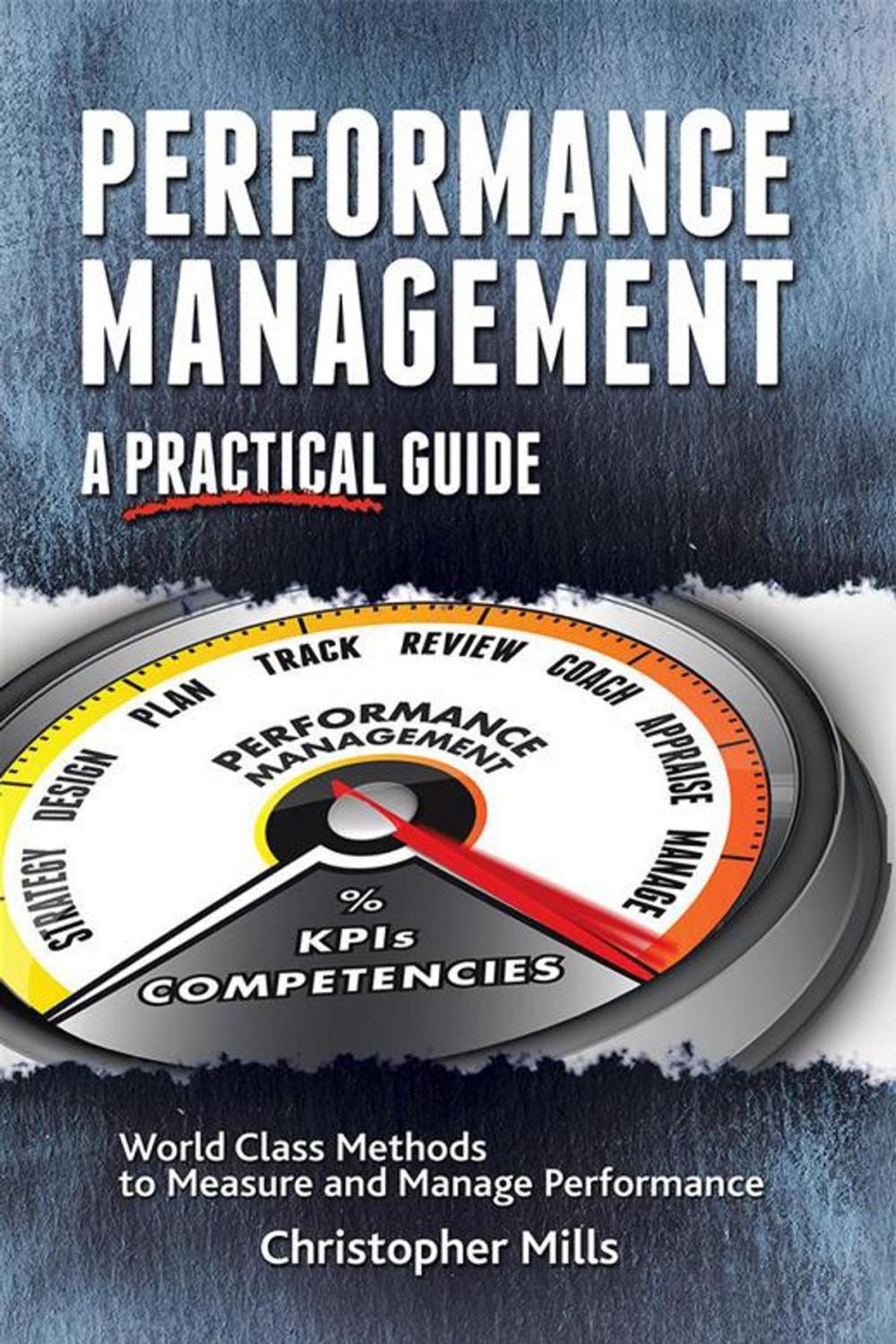 Big bigCover of Performance Management