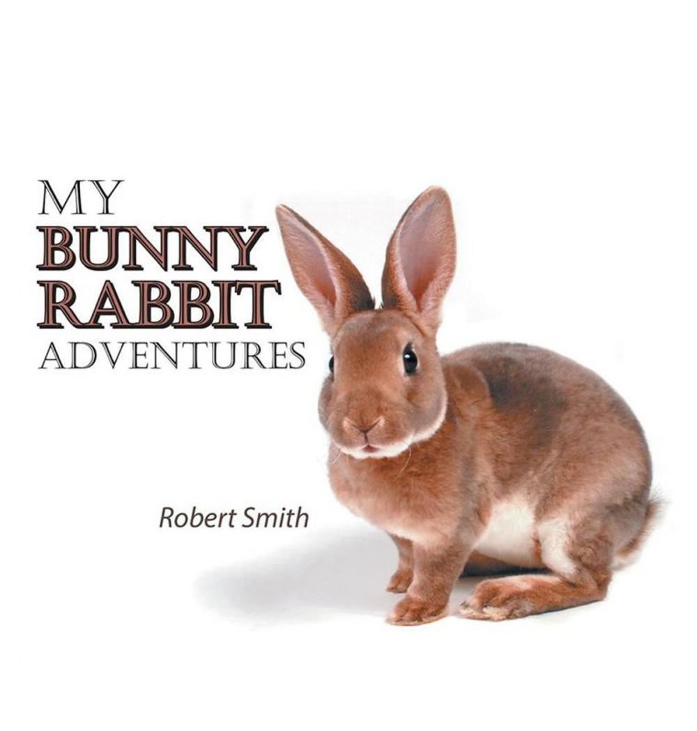 Big bigCover of My Bunny Rabbit Adventures