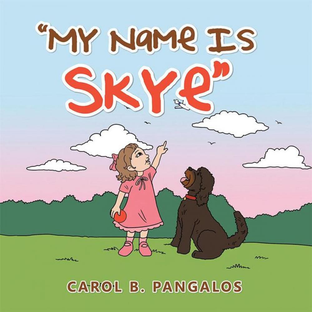 Big bigCover of My Name Is Skye