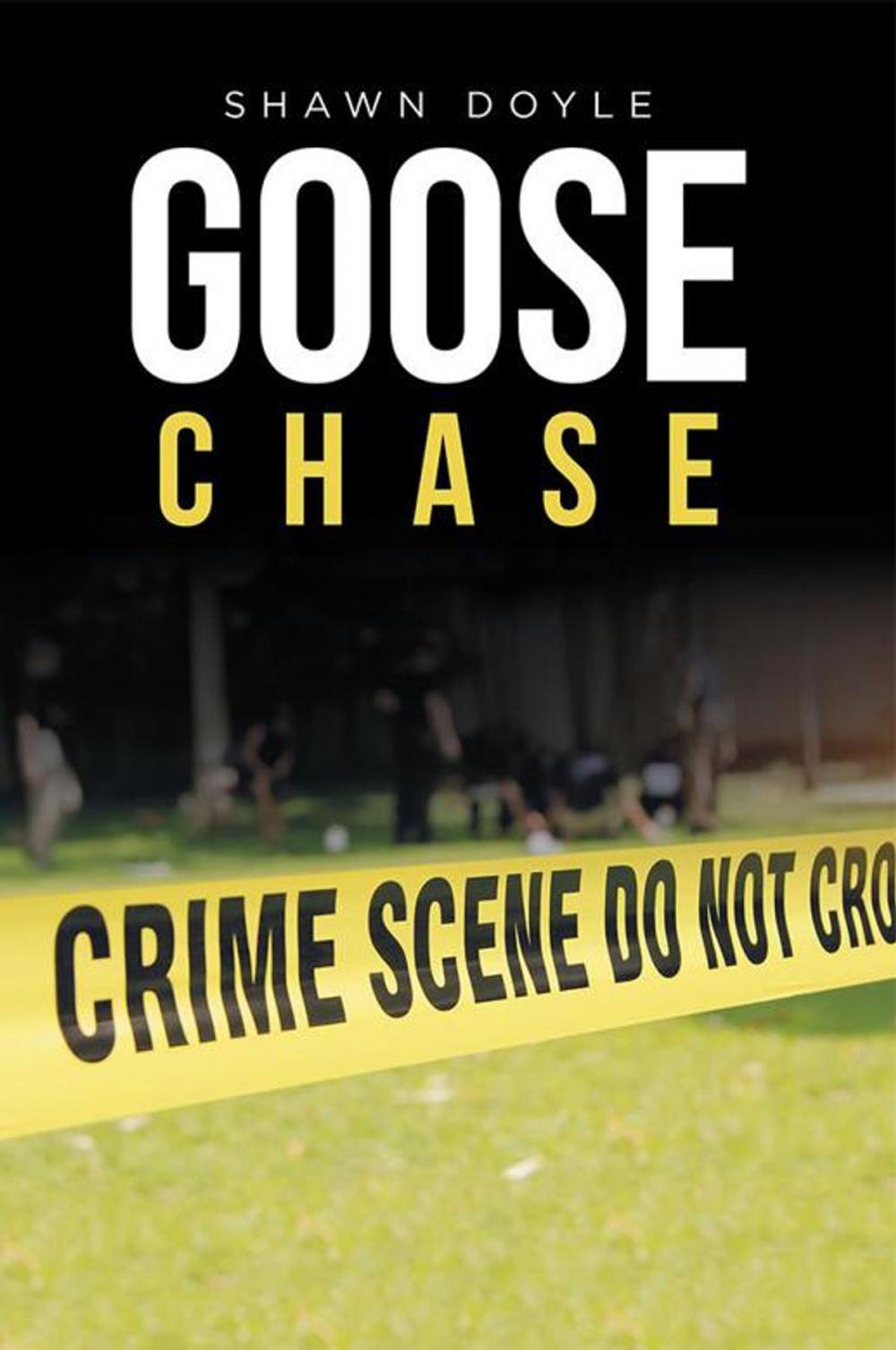 Big bigCover of Goose Chase
