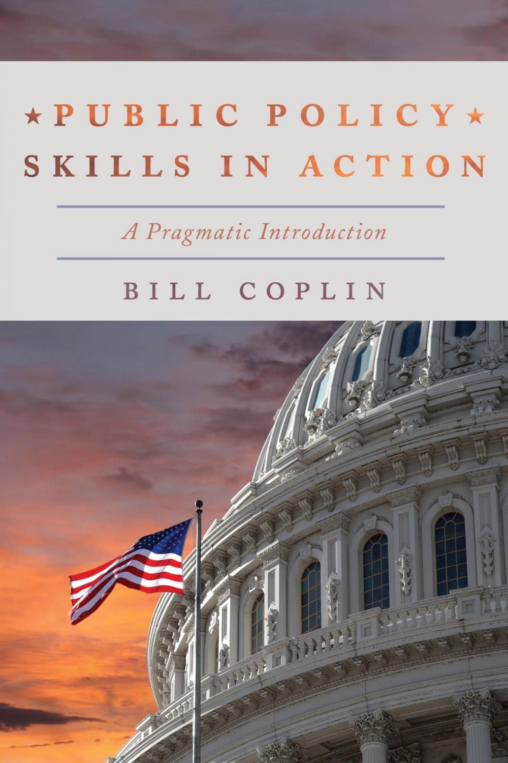 Big bigCover of Public Policy Skills in Action