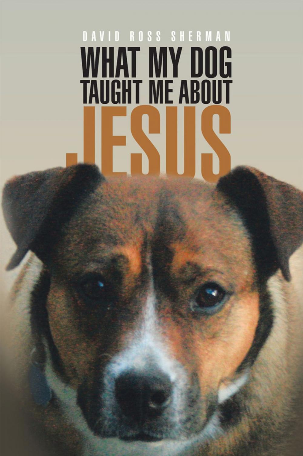 Big bigCover of What My Dog Taught Me About Jesus