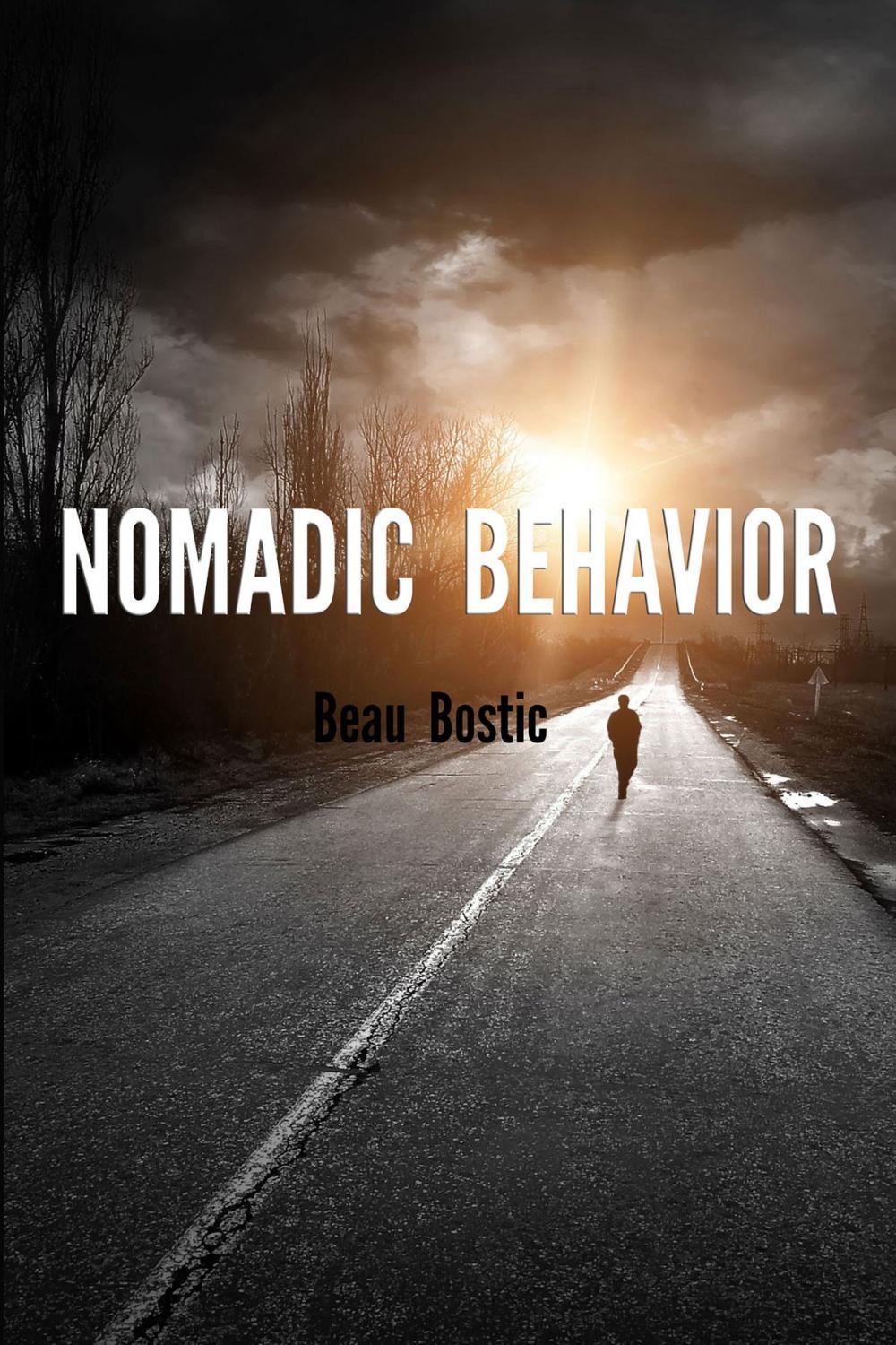 Big bigCover of Nomadic Behavior