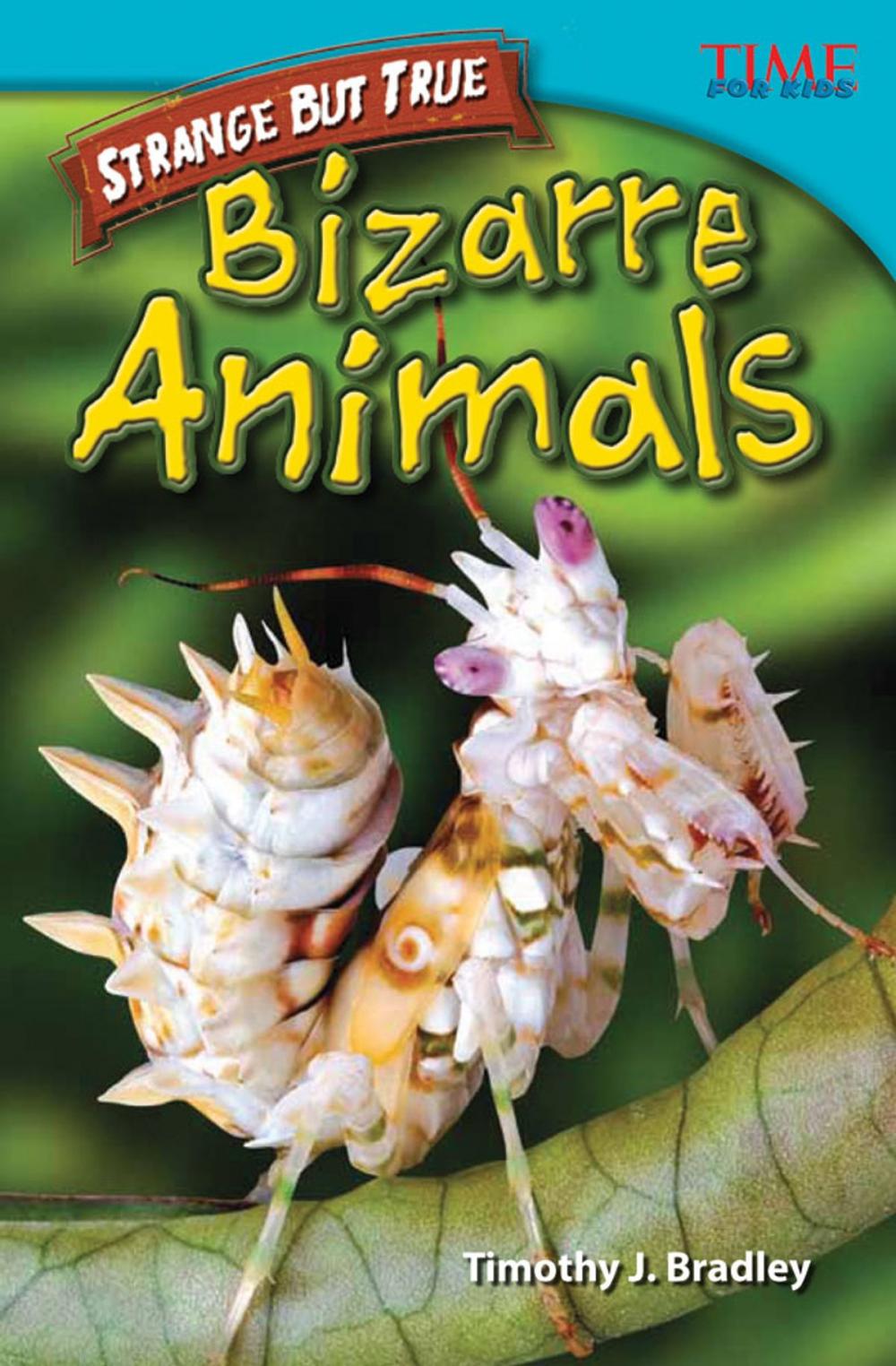 Big bigCover of Strange But True: Bizarre Animals