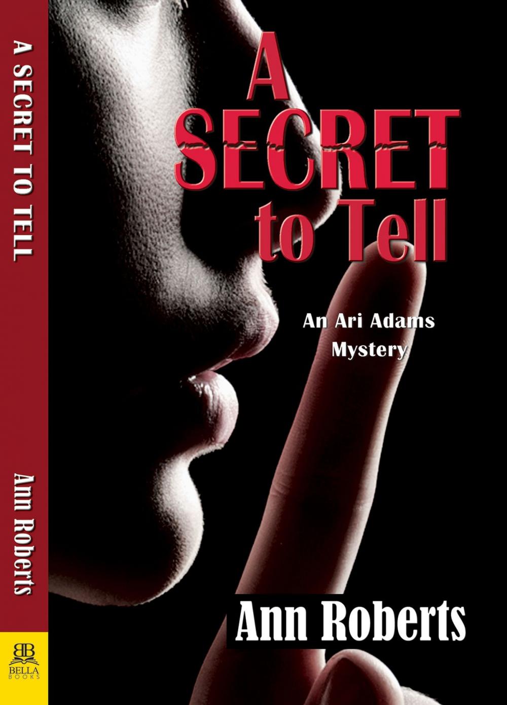 Big bigCover of A Secret to Tell