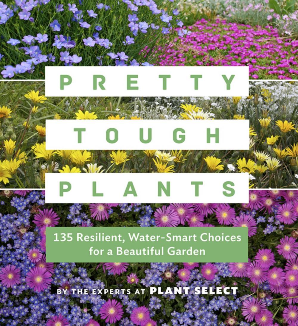 Big bigCover of Pretty Tough Plants