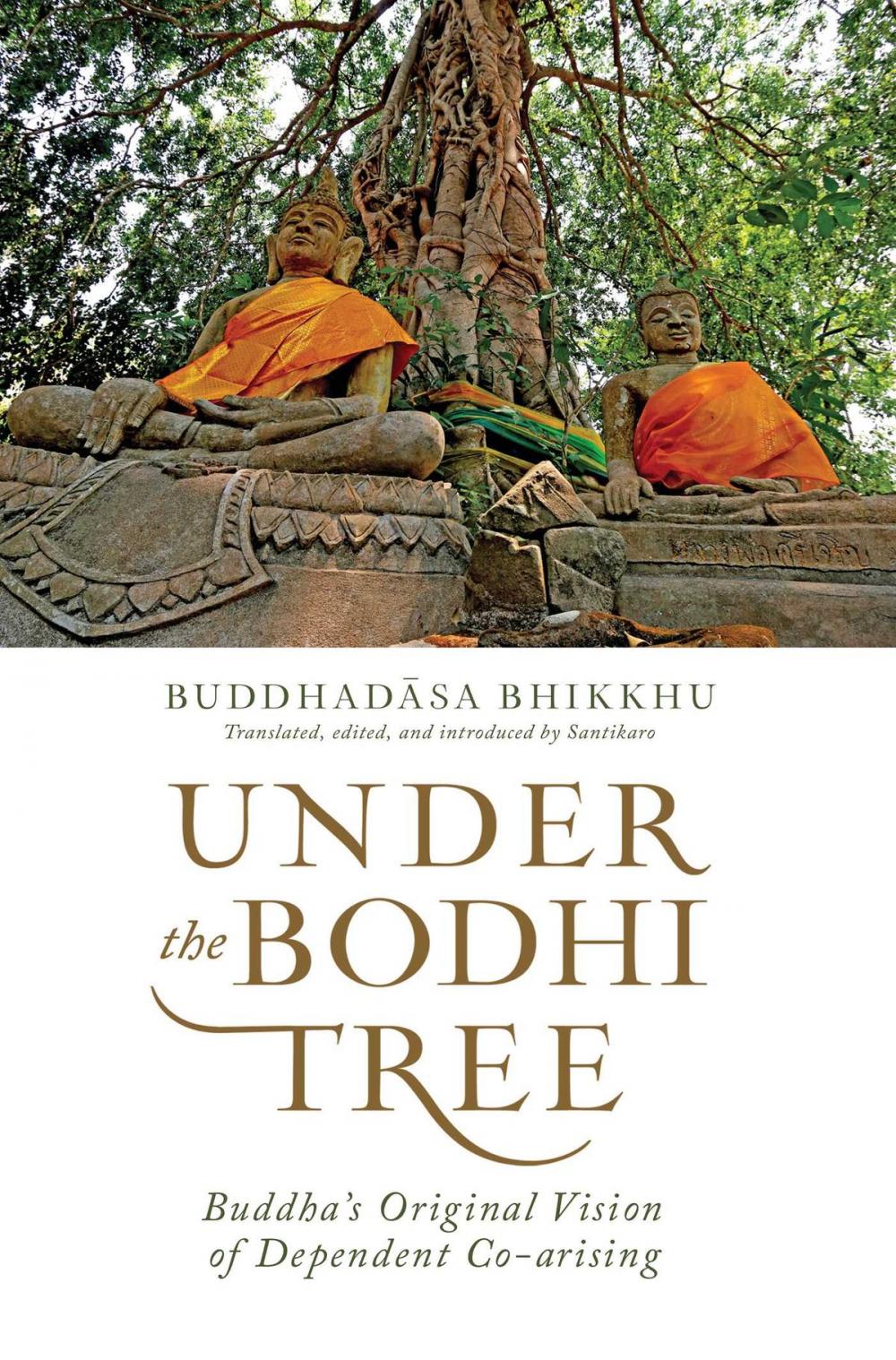 Big bigCover of Under the Bodhi Tree