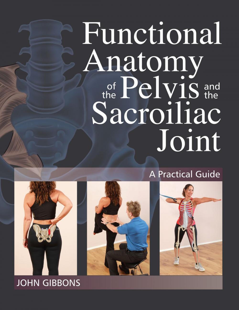 Big bigCover of Functional Anatomy of the Pelvis and the Sacroiliac Joint