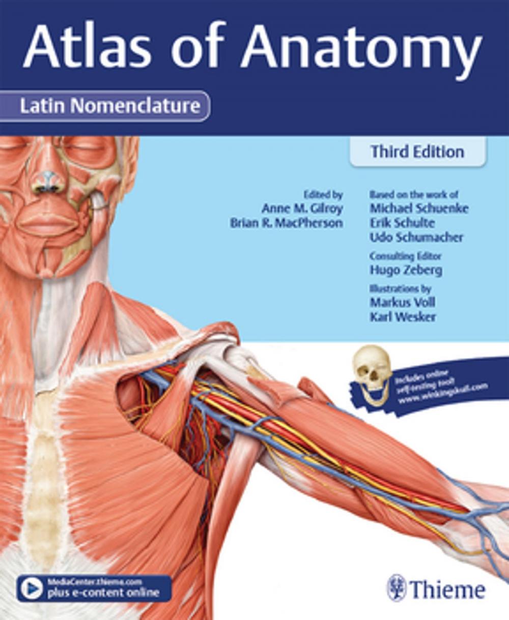 Big bigCover of Atlas of Anatomy, 3e Latin