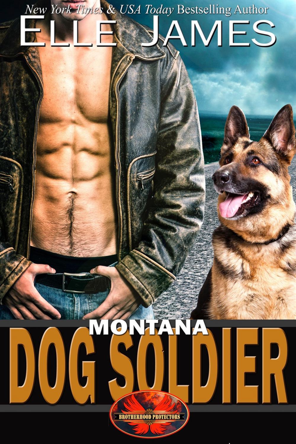 Big bigCover of Montana Dog Soldier