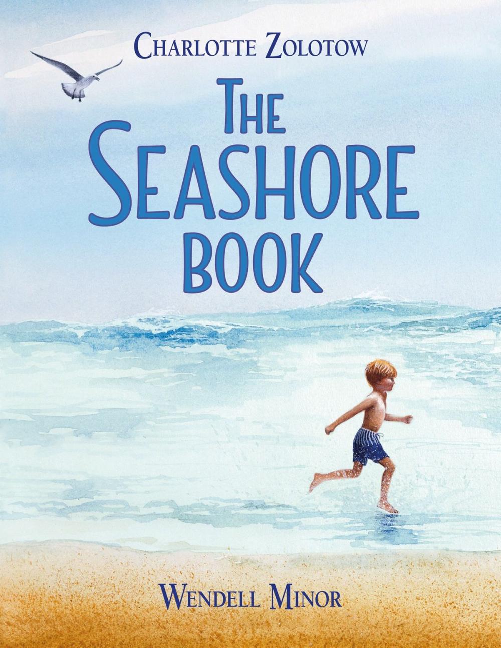 Big bigCover of The Seashore Book