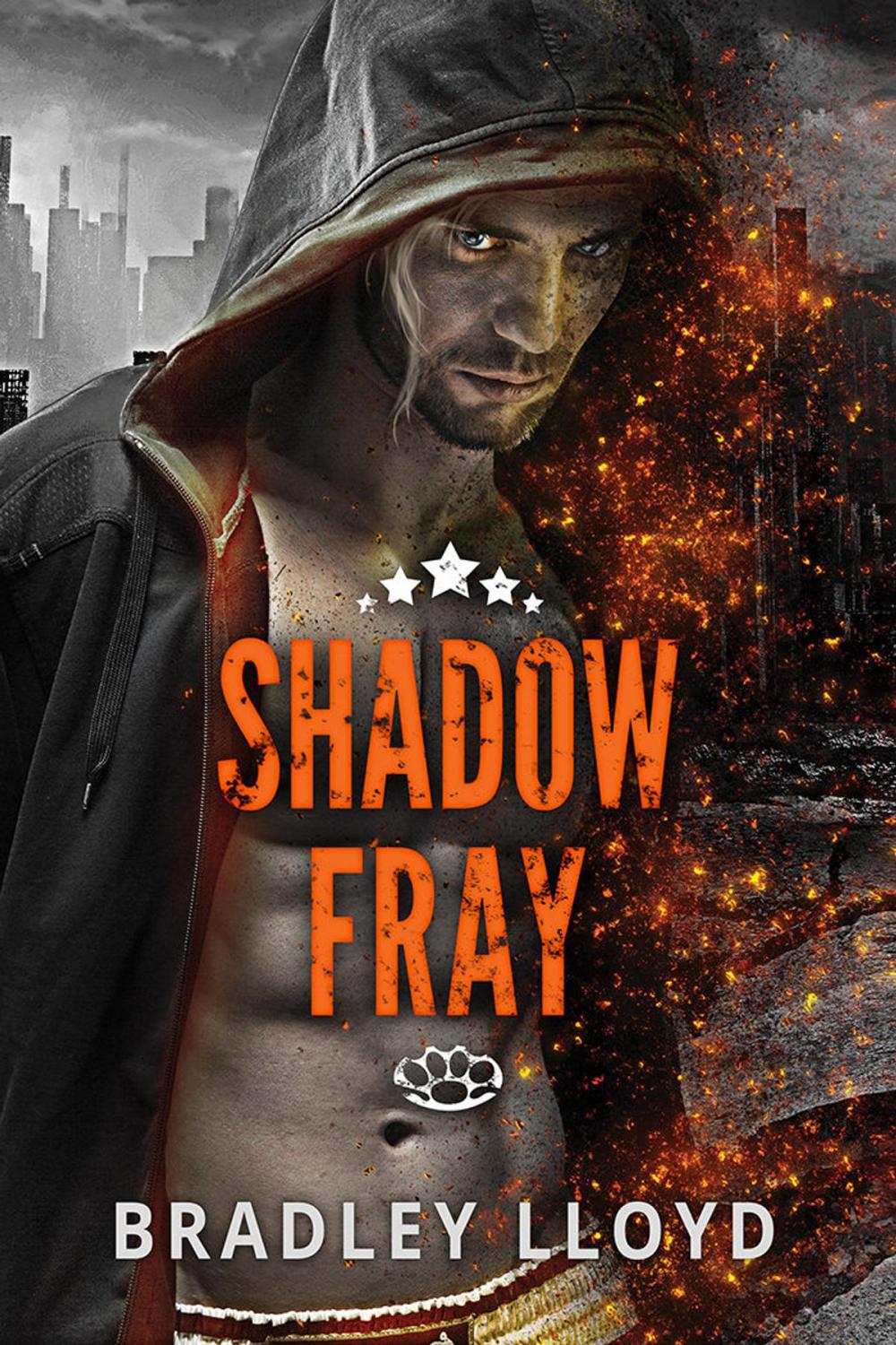 Big bigCover of Shadow Fray