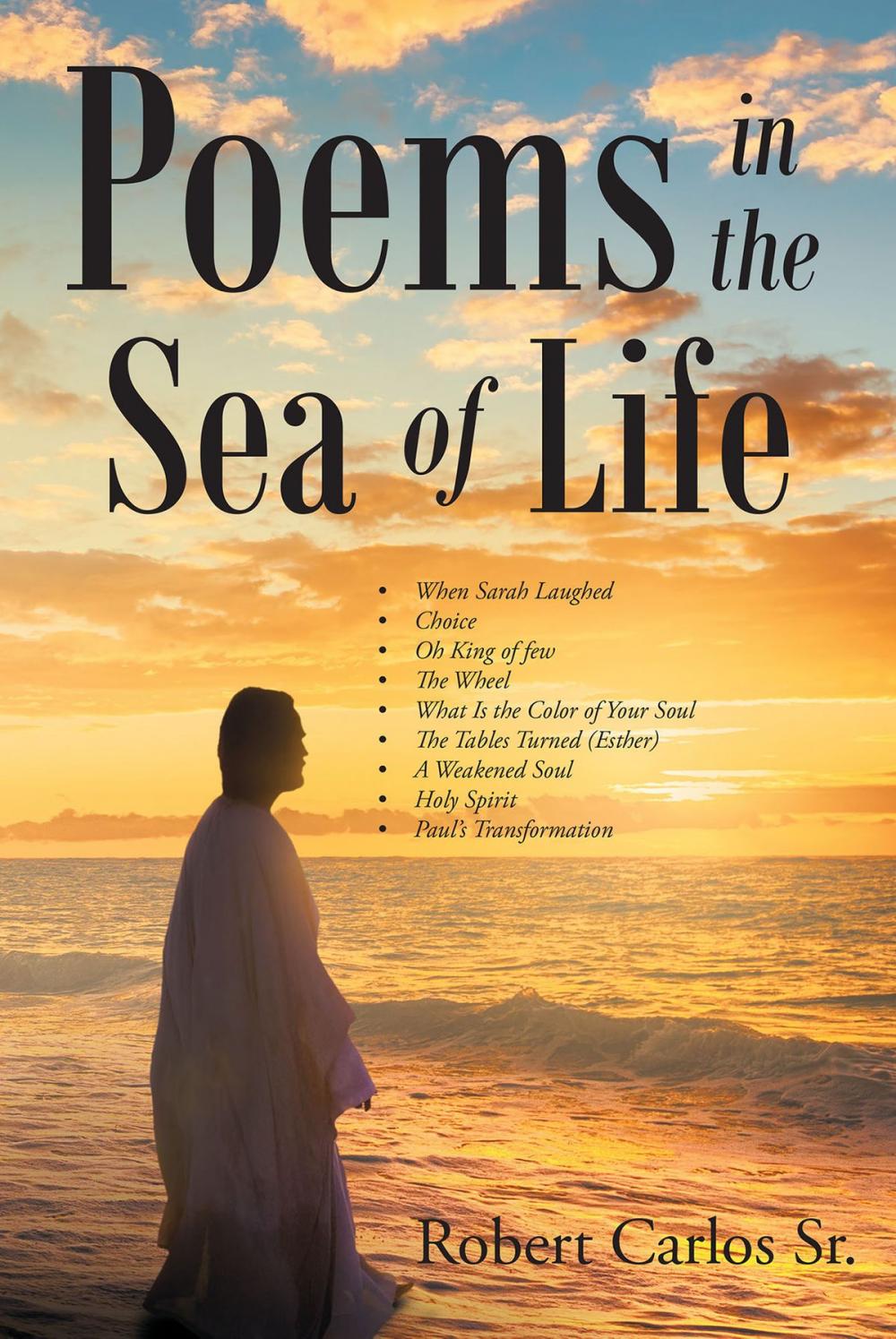 Big bigCover of Poems In The Sea Of Life