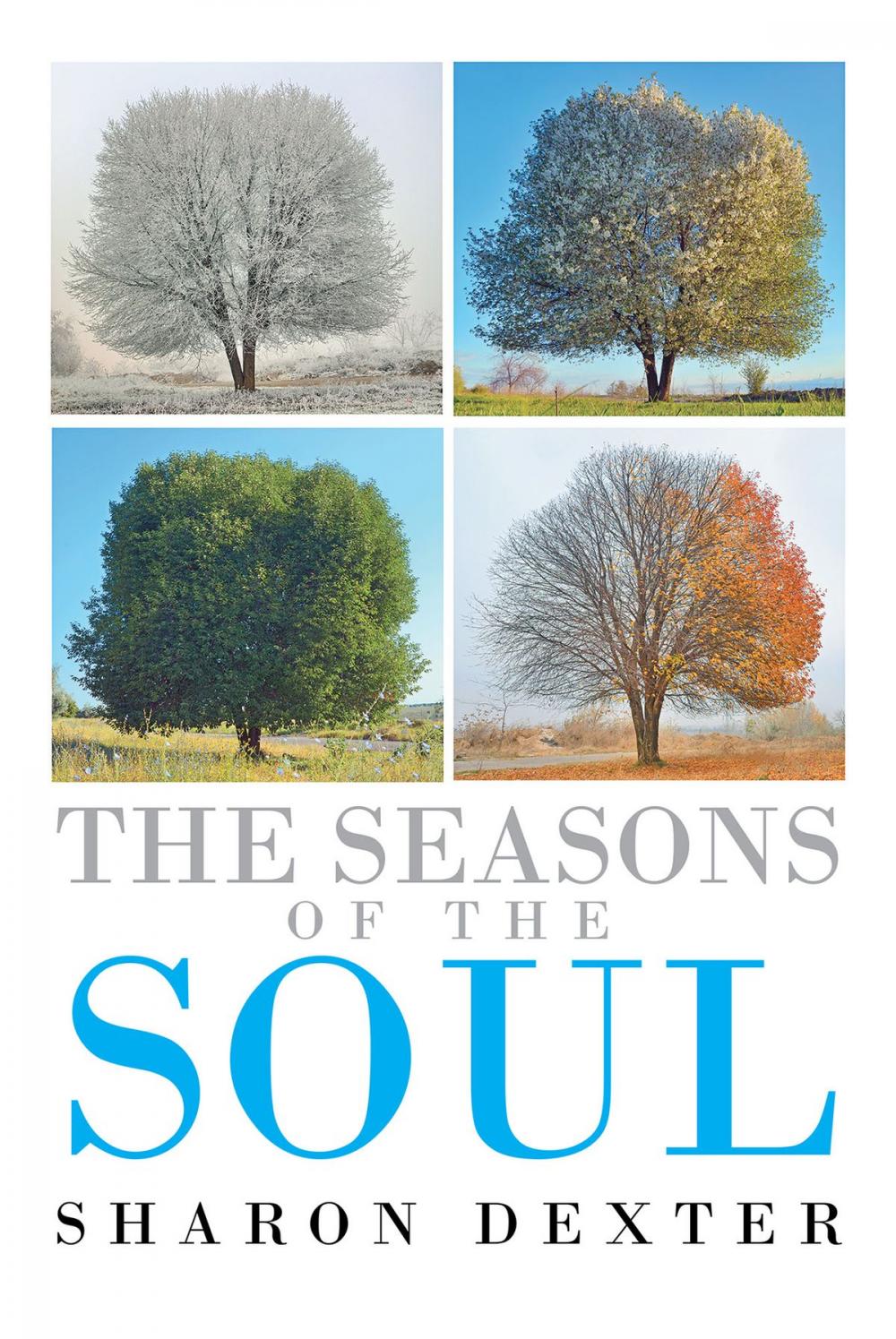 Big bigCover of The Seasons of the Soul