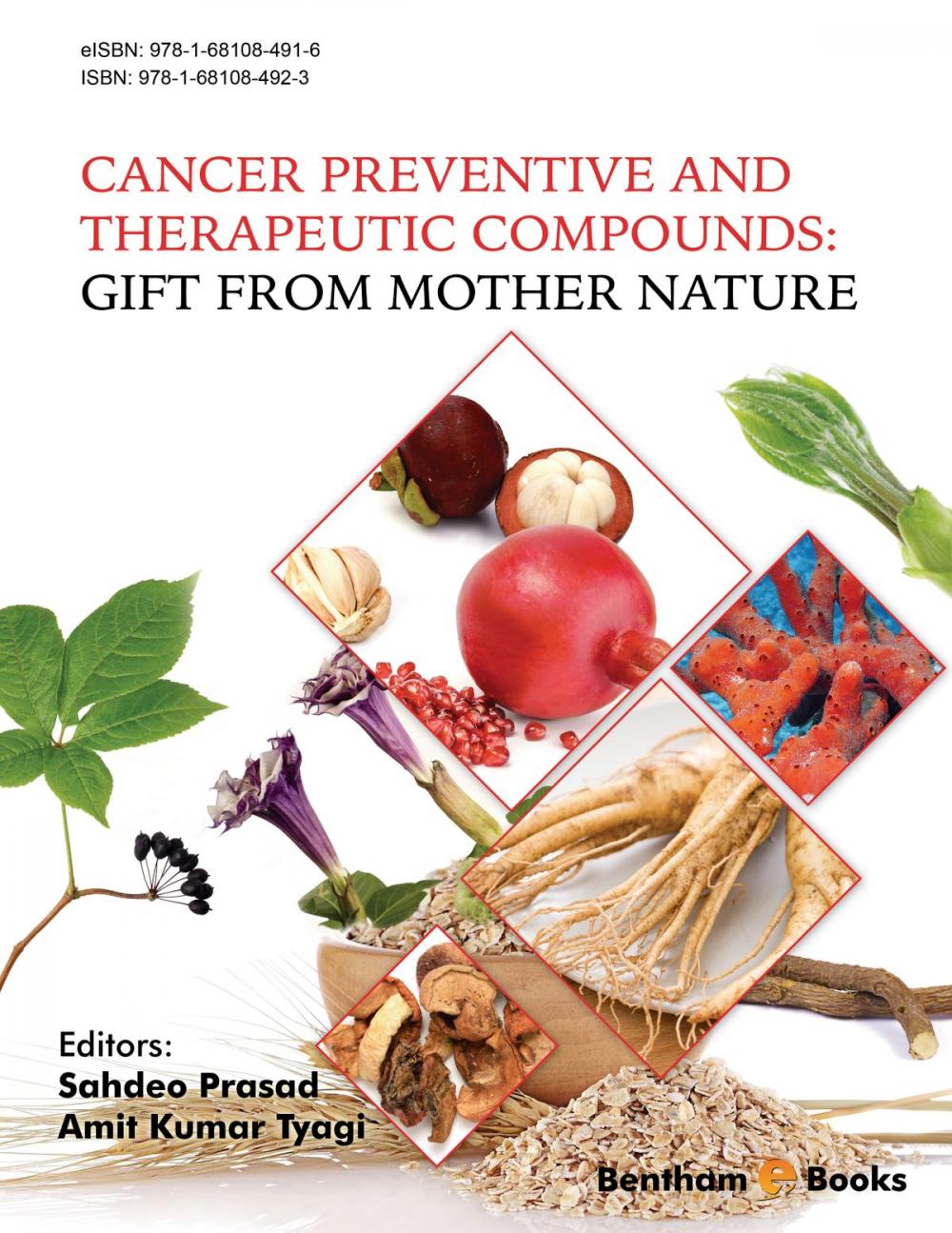 Big bigCover of Cancer Preventive and Therapeutic Compounds: Gift From Mother Nature