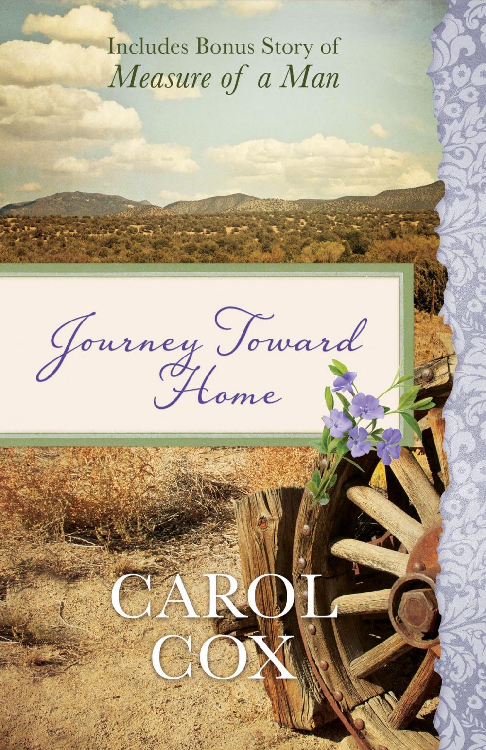 Big bigCover of Journey Toward Home