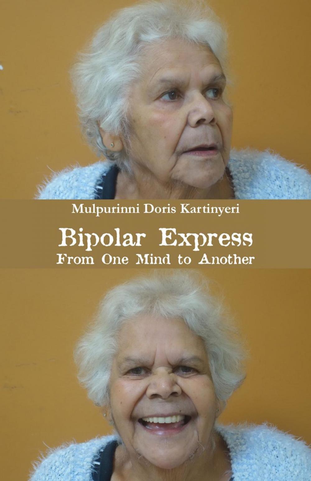 Big bigCover of Bipolar Express