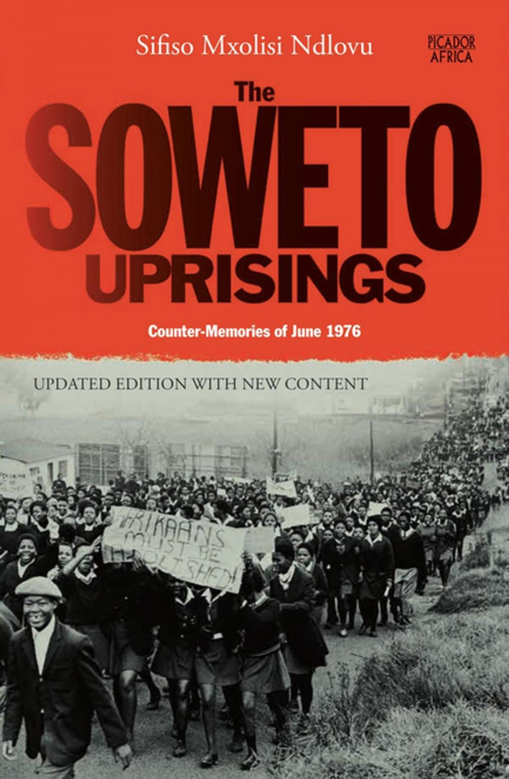 Big bigCover of The Soweto Uprisings