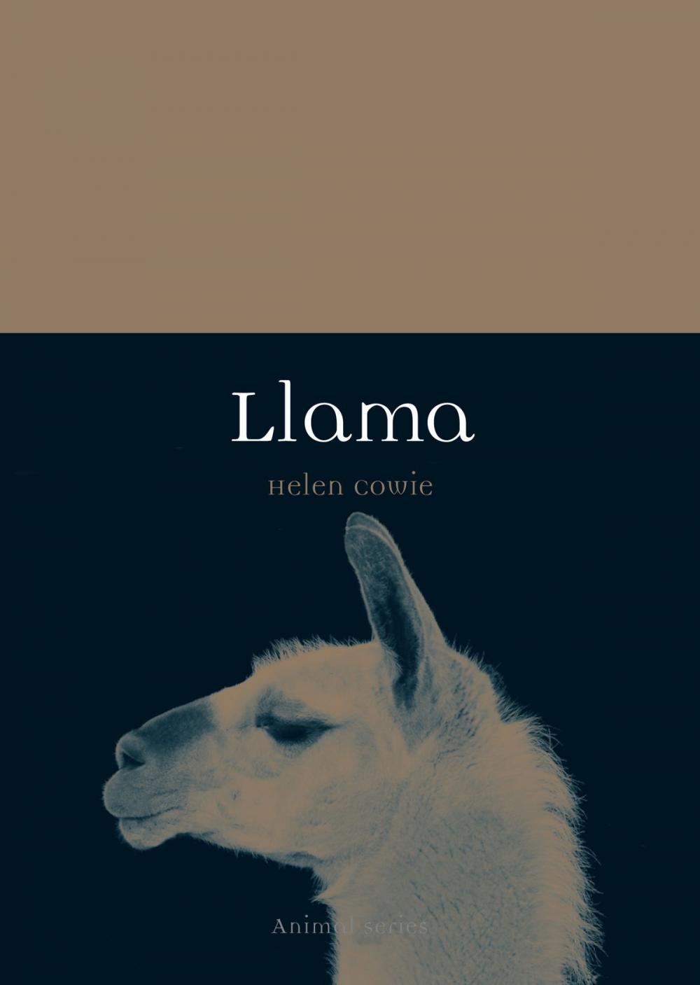 Big bigCover of Llama
