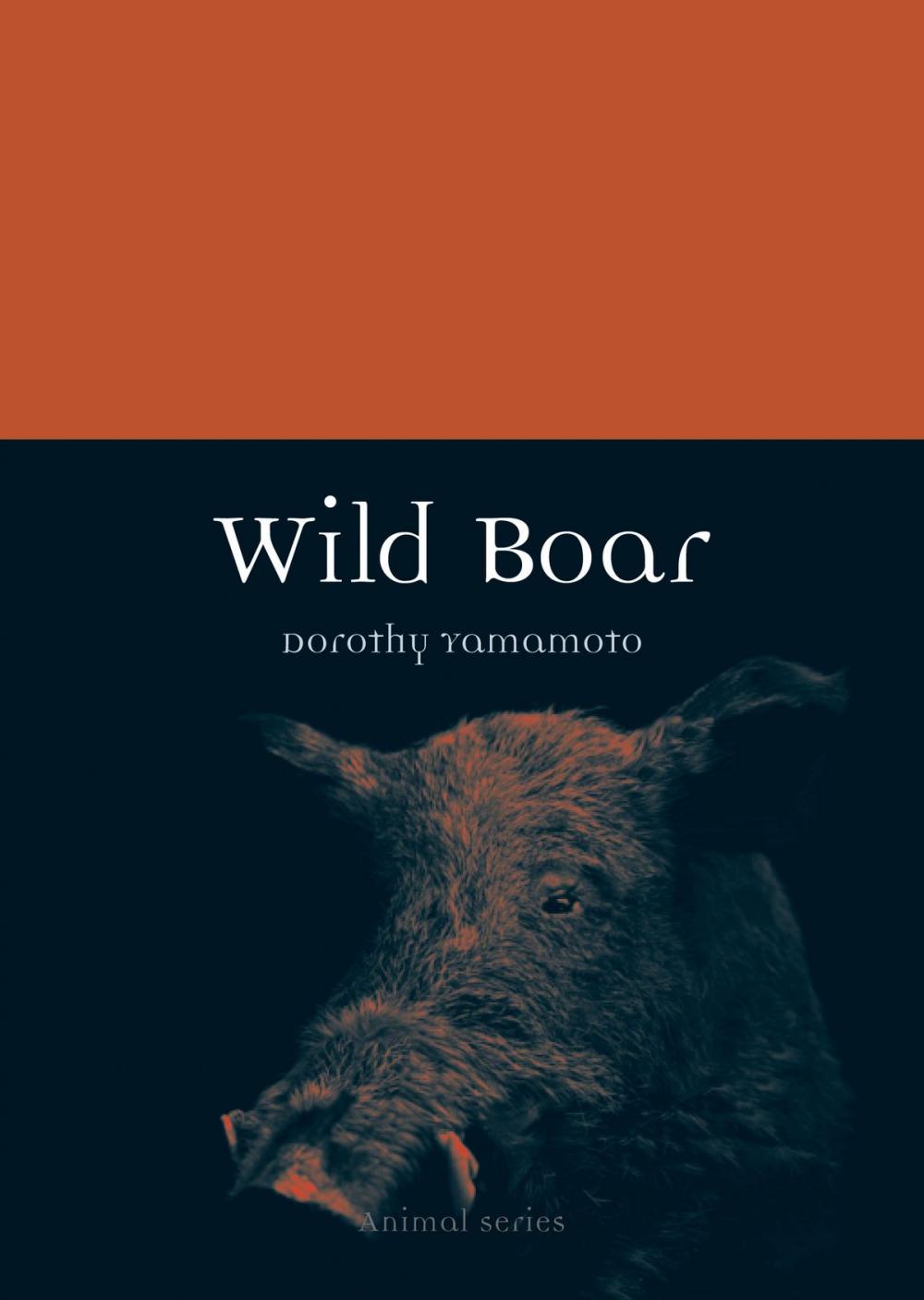 Big bigCover of Wild Boar