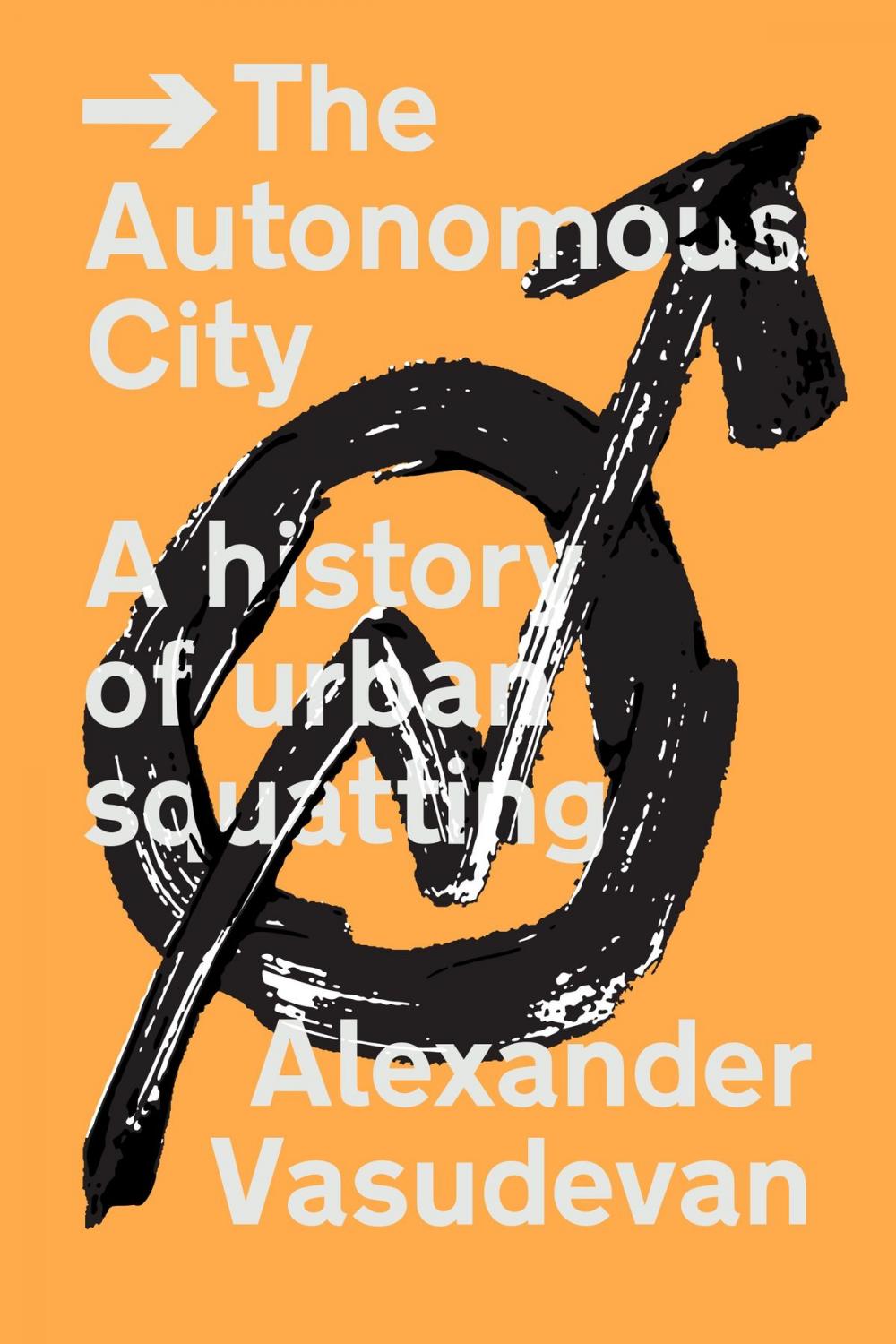 Big bigCover of The Autonomous City