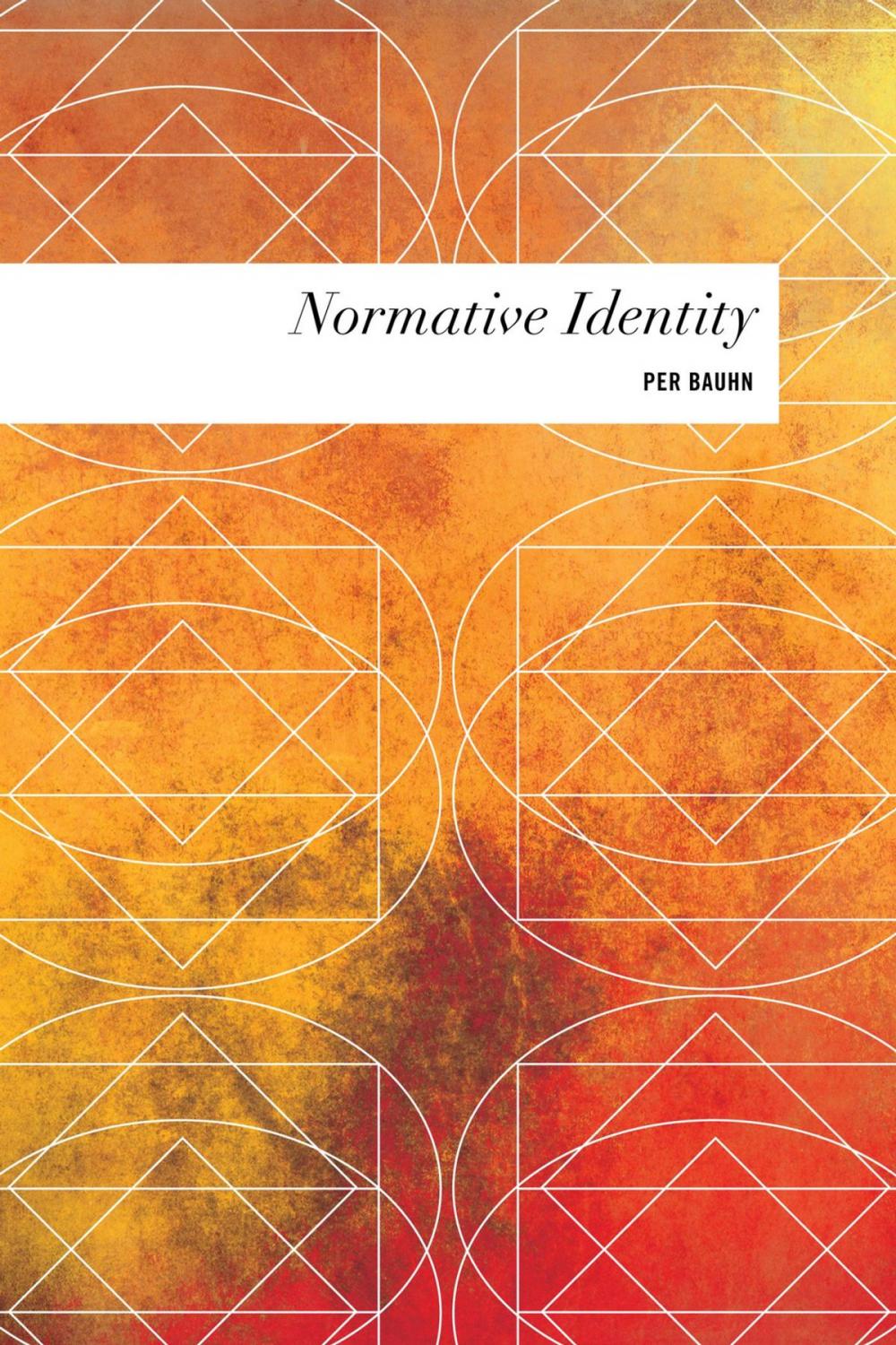 Big bigCover of Normative Identity