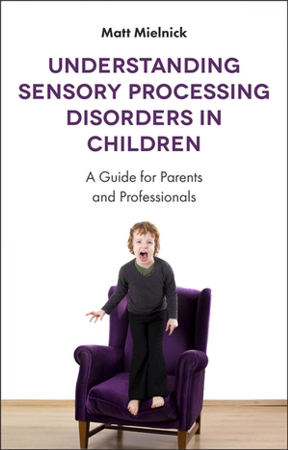 Big bigCover of Understanding Sensory Processing Disorders in Children