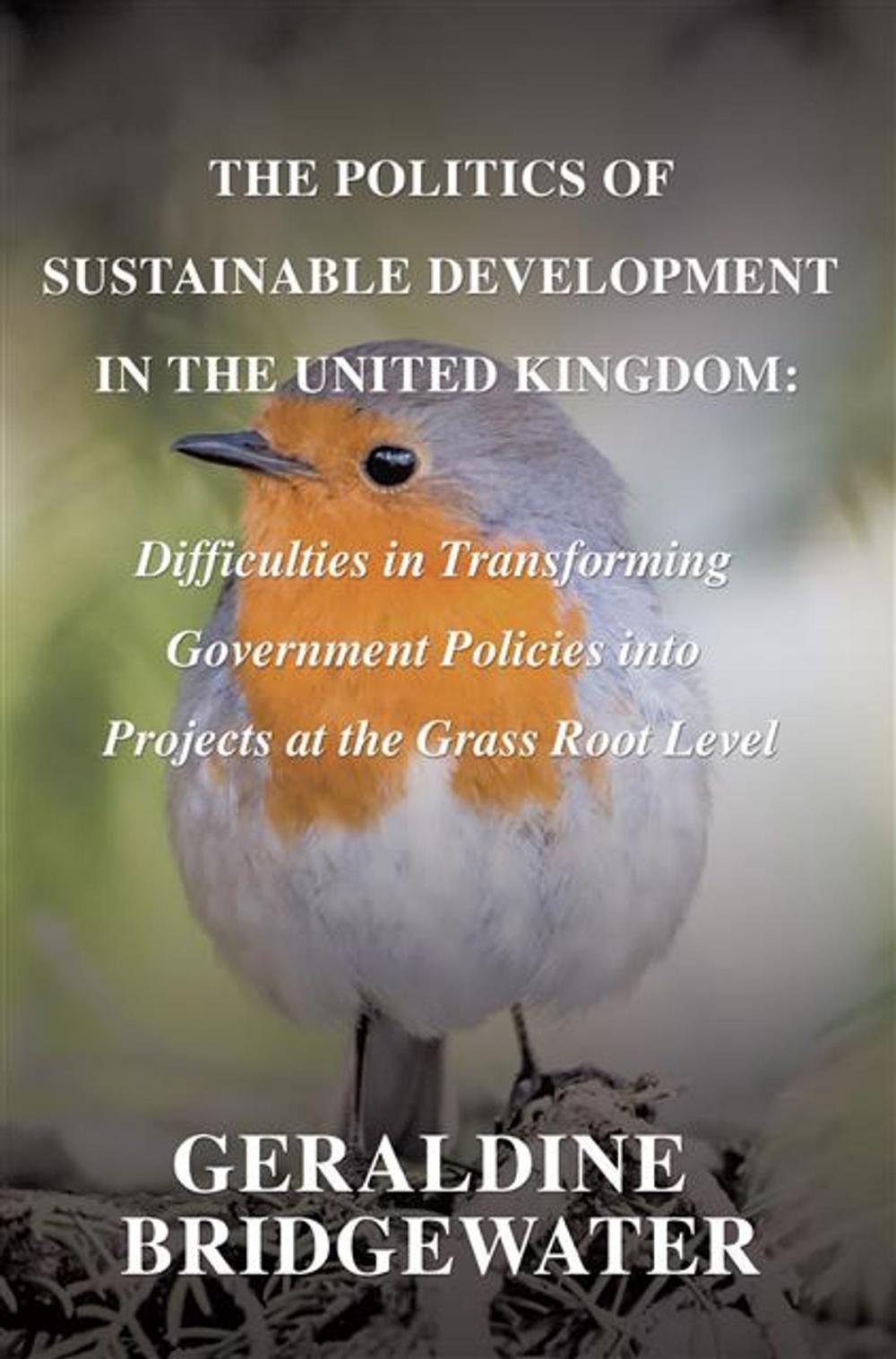 Big bigCover of Politics Of Sustainable Development In The United Kingdom
