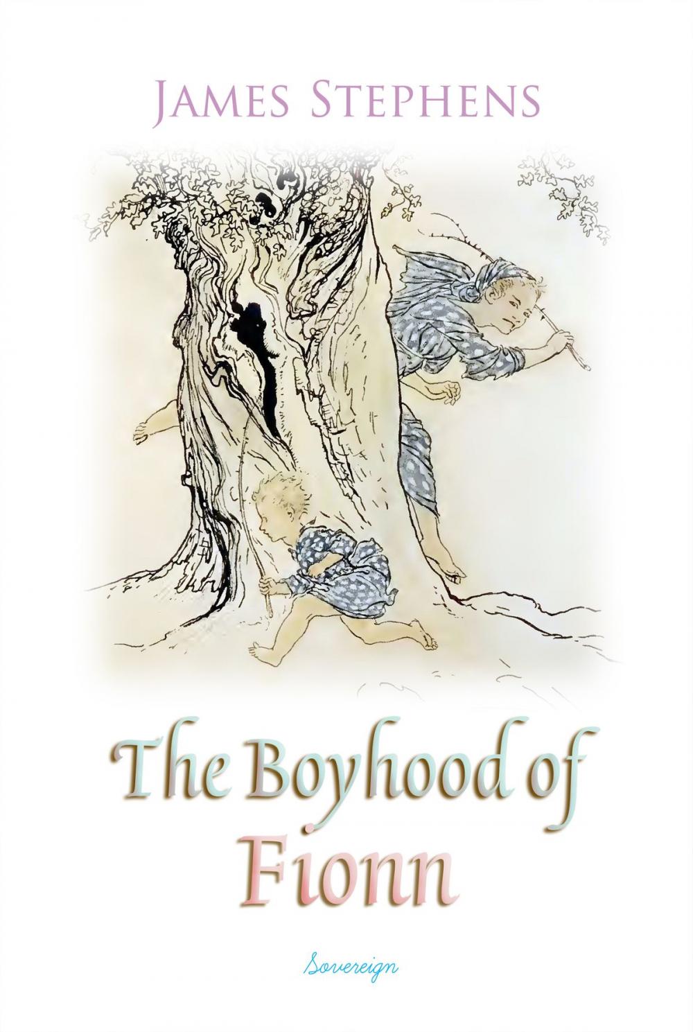 Big bigCover of The Boyhood of Fionn