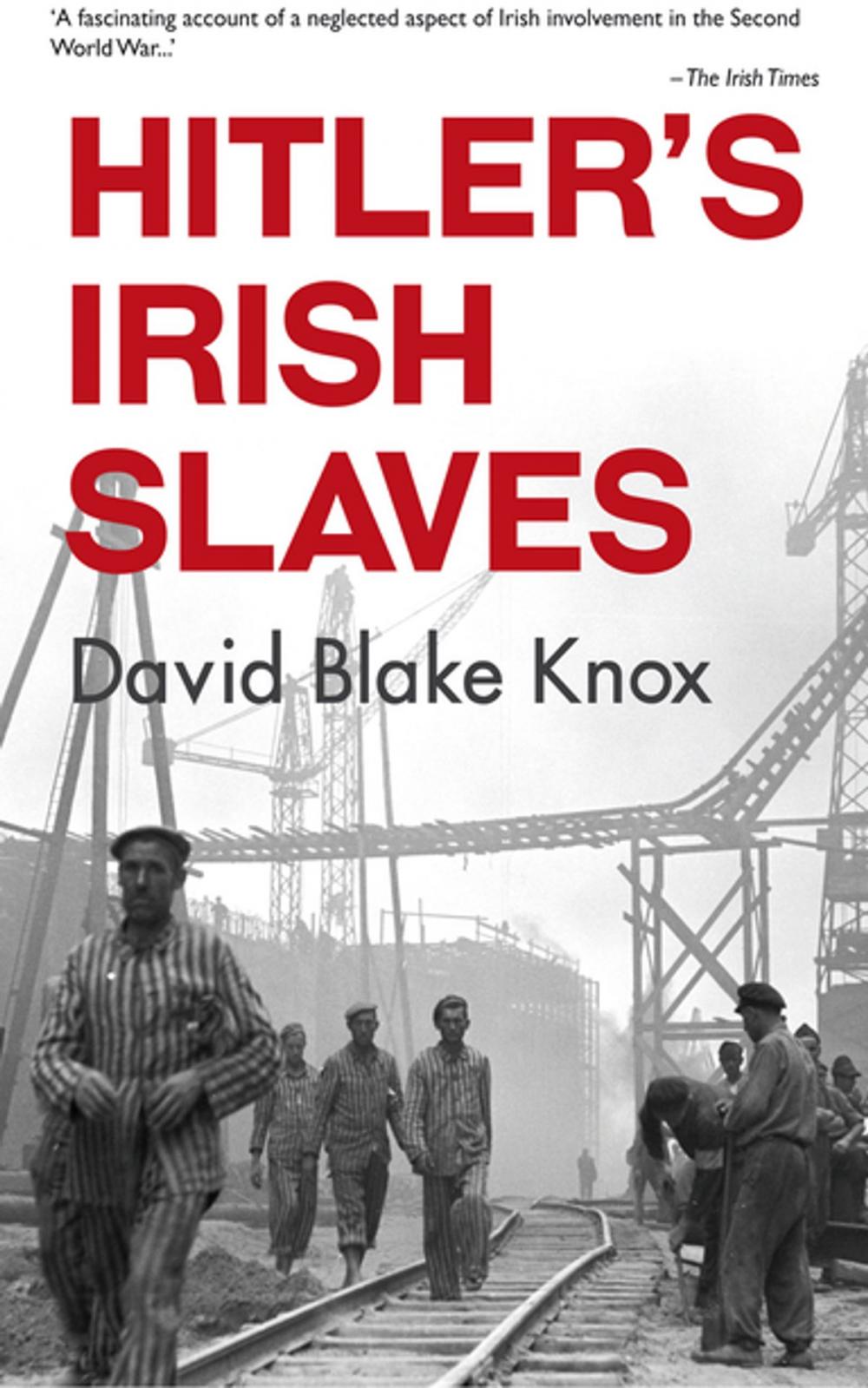 Big bigCover of Hitler's Irish Slaves