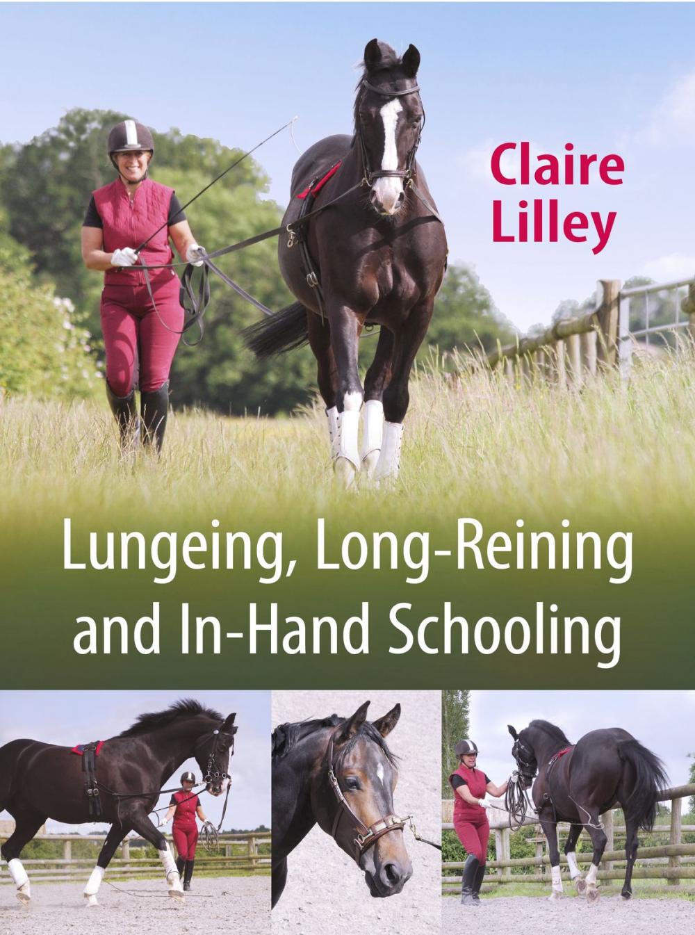 Big bigCover of Lungeing, Long-Reining and In-Hand Schooling