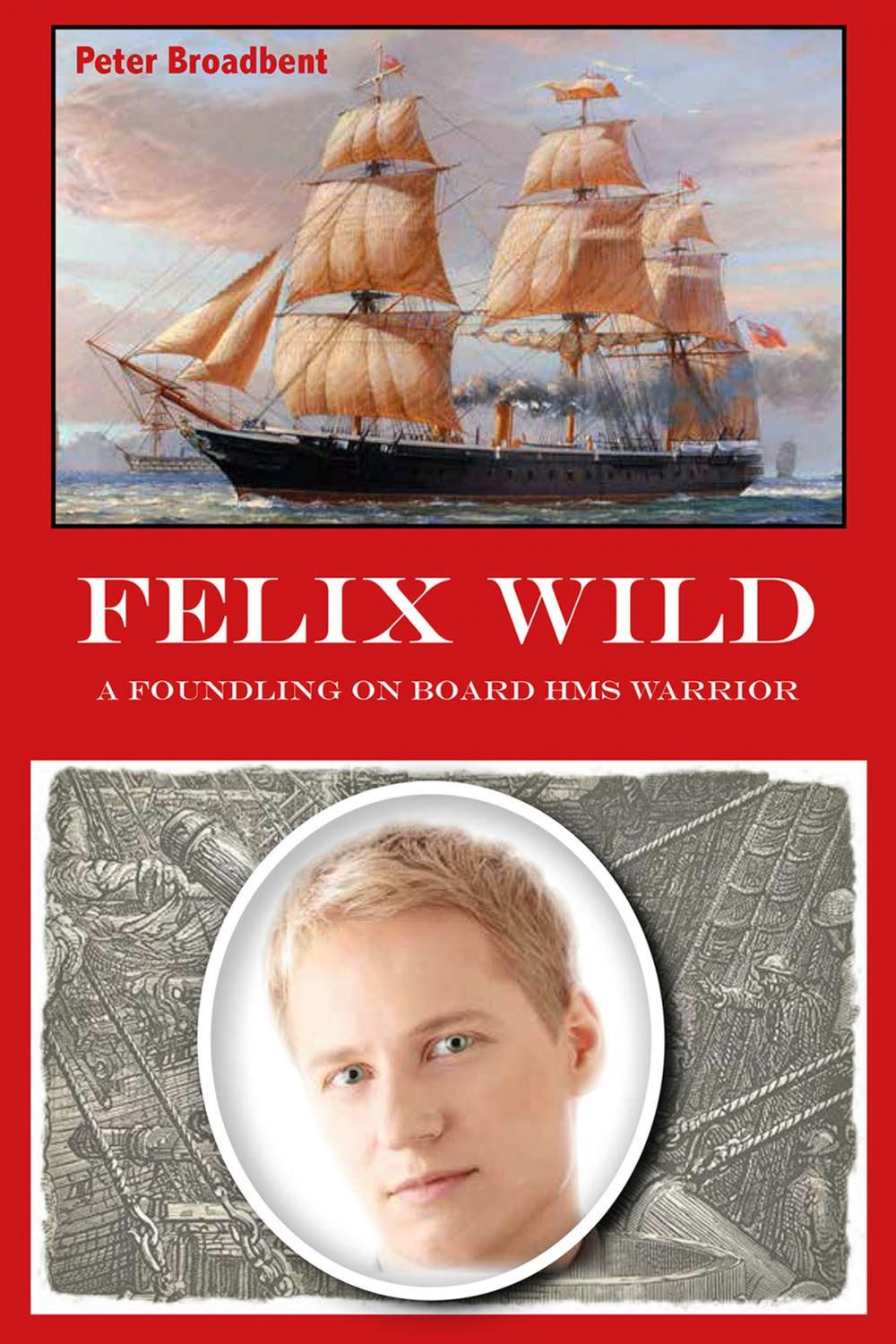 Big bigCover of Felix Wild