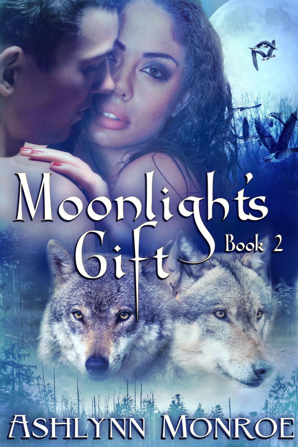 Big bigCover of Moonlight's Gift