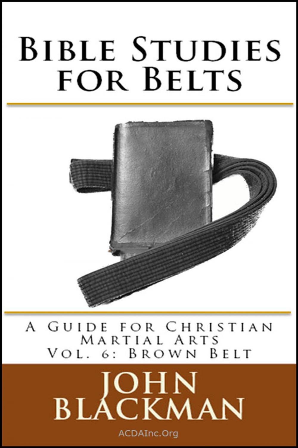 Big bigCover of Bible Studies for Belts: A Guide for Christian Martial Arts Vol. 6: Brown Belt