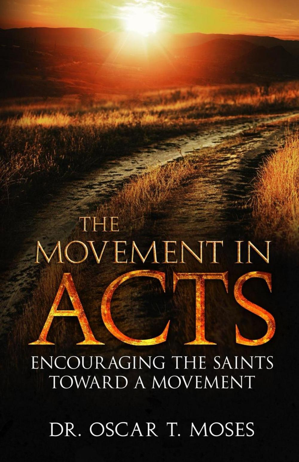 Big bigCover of The Movement in Acts