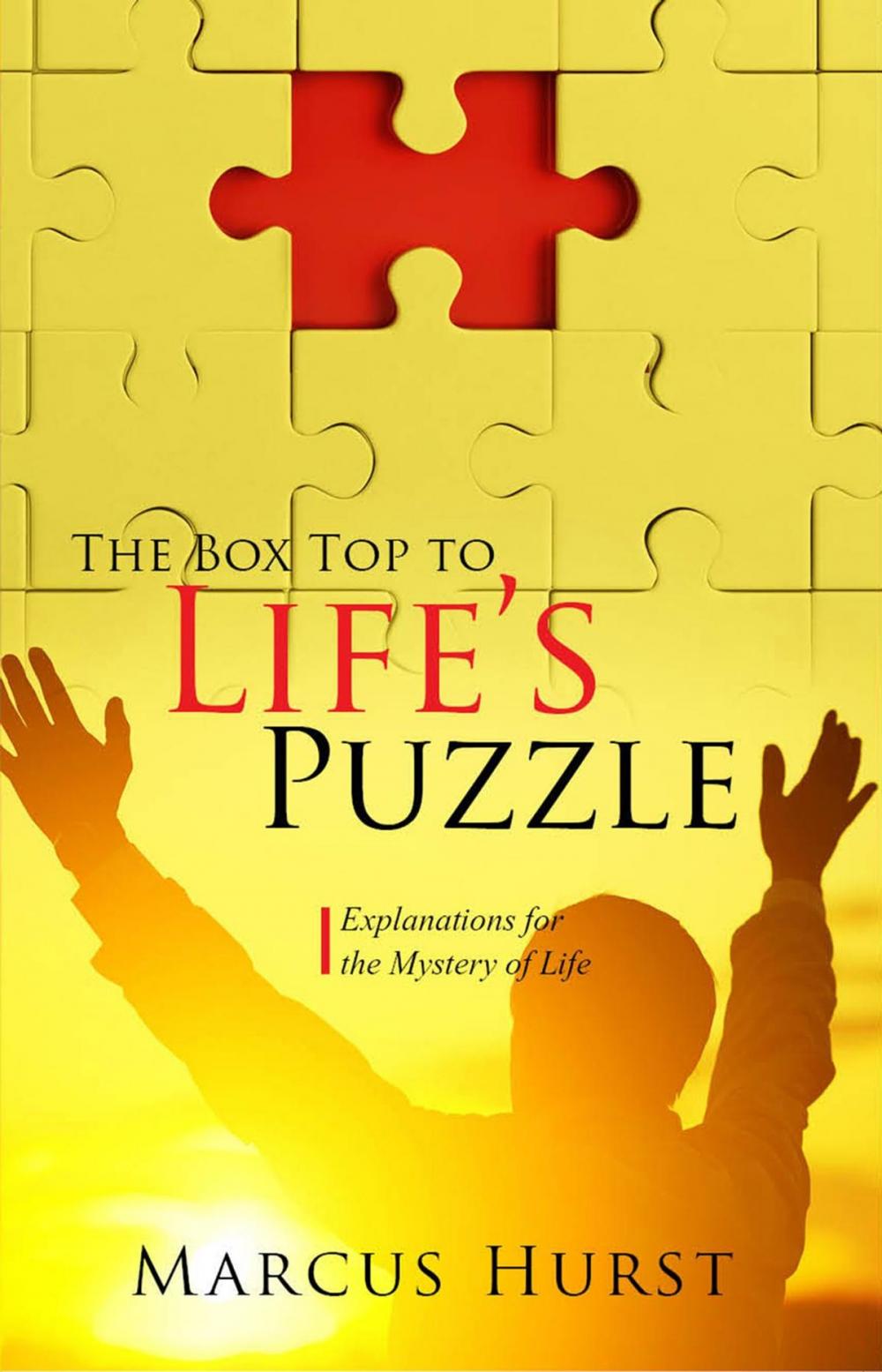 Big bigCover of The Box Top to Life's Puzzle