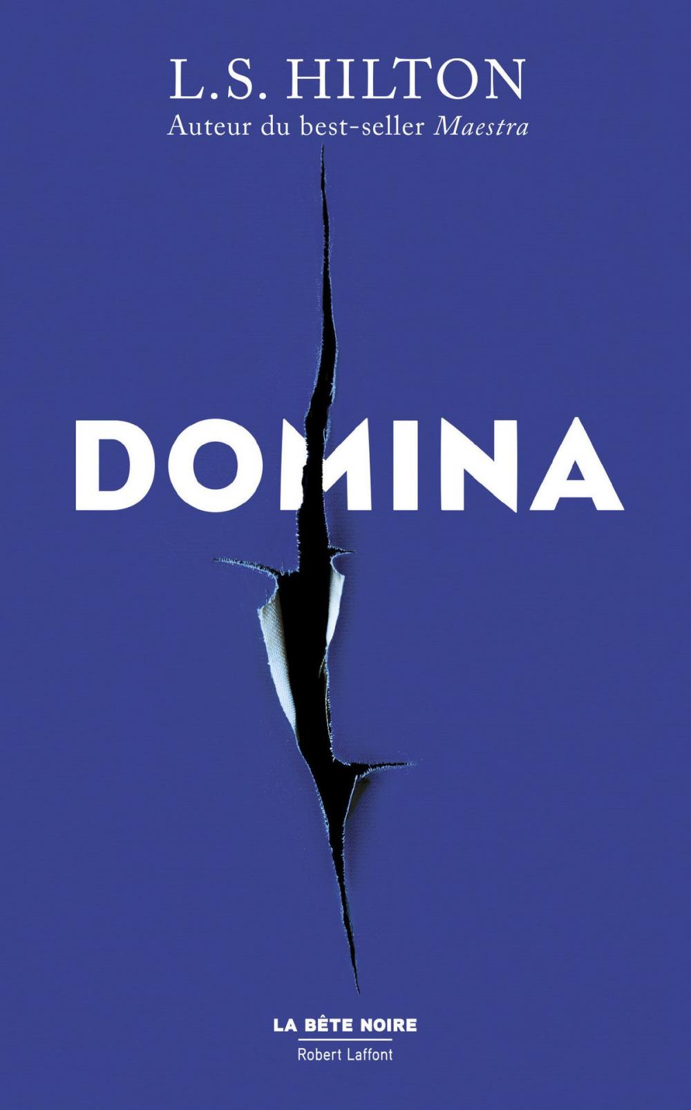 Big bigCover of Domina - Édition française