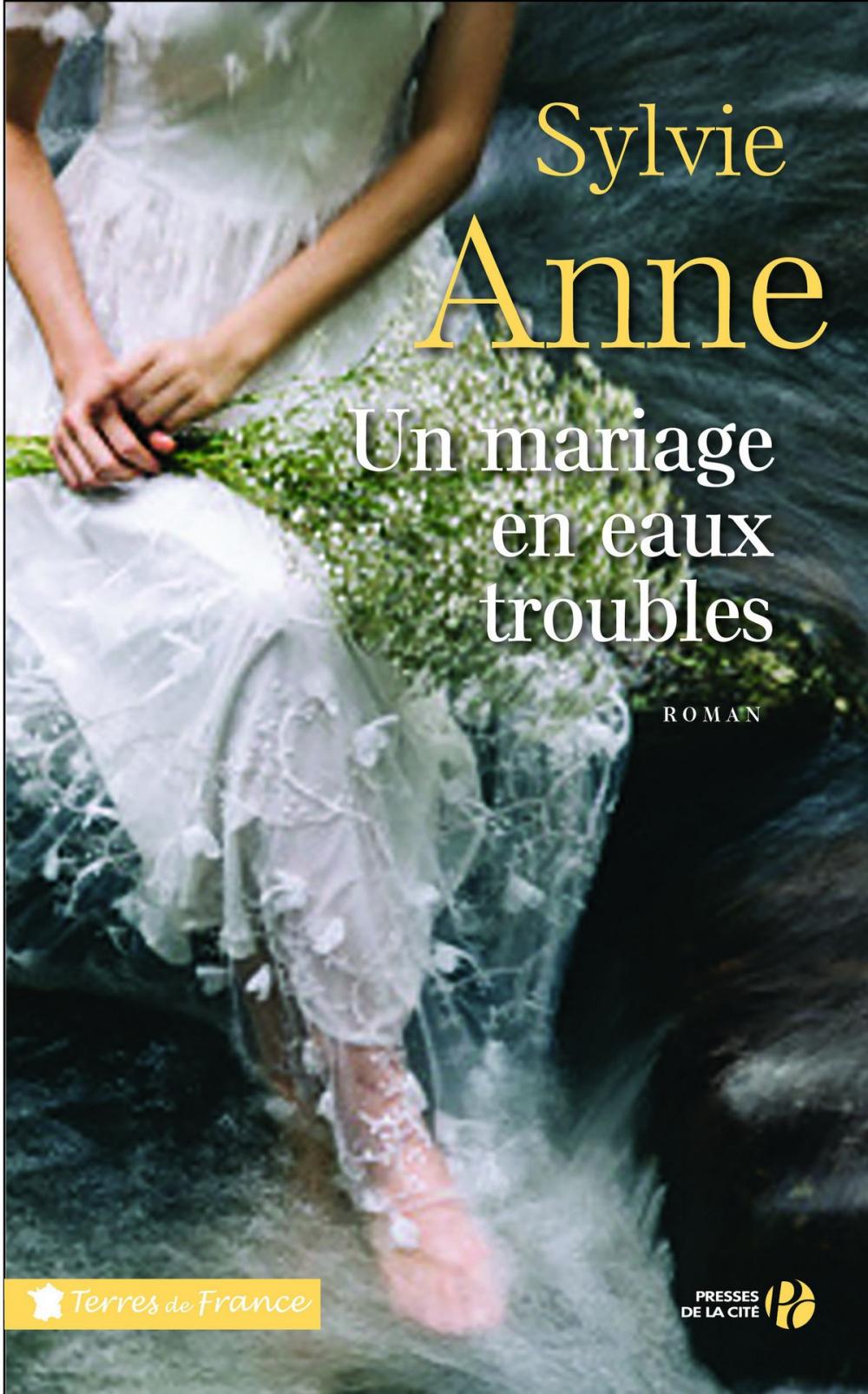 Big bigCover of Un mariage en eaux troubles