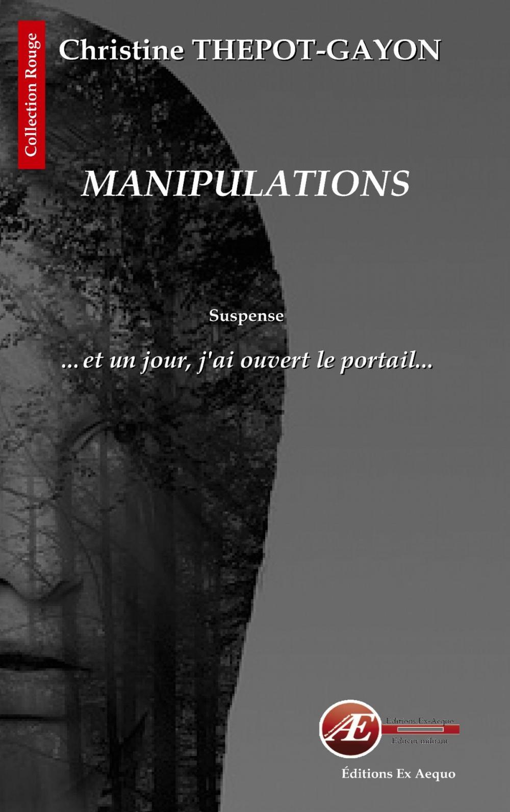 Big bigCover of Manipulations