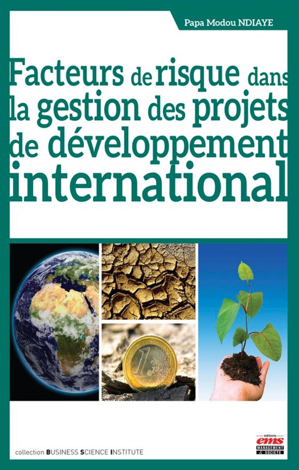 Big bigCover of Facteurs de risque dans la gestion des projets de développement international