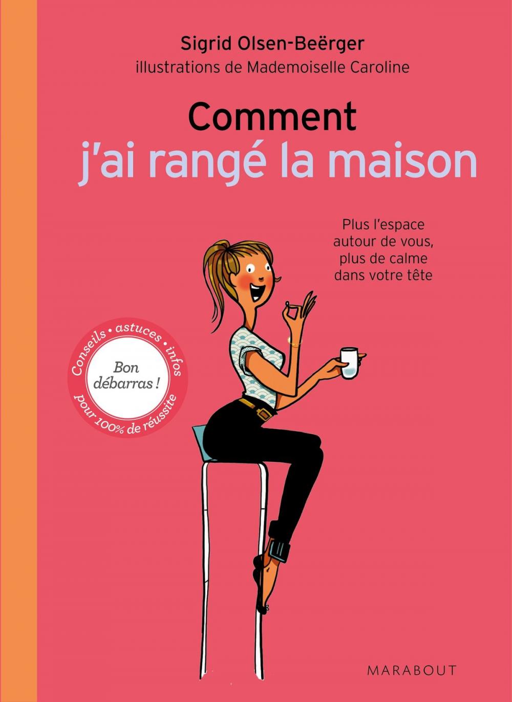 Big bigCover of Comment j'ai rangé la maison