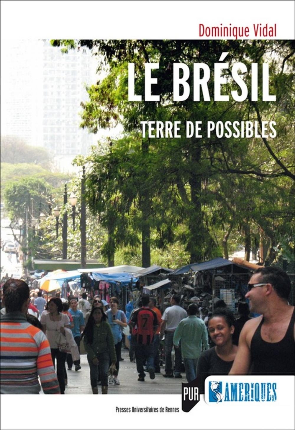 Big bigCover of Le Brésil