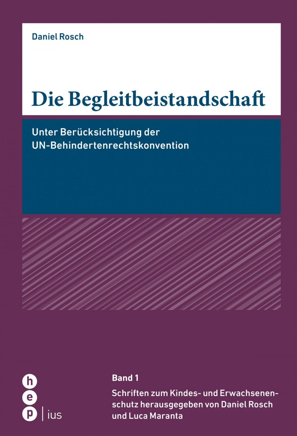 Big bigCover of Die Begleitbeistandschaft