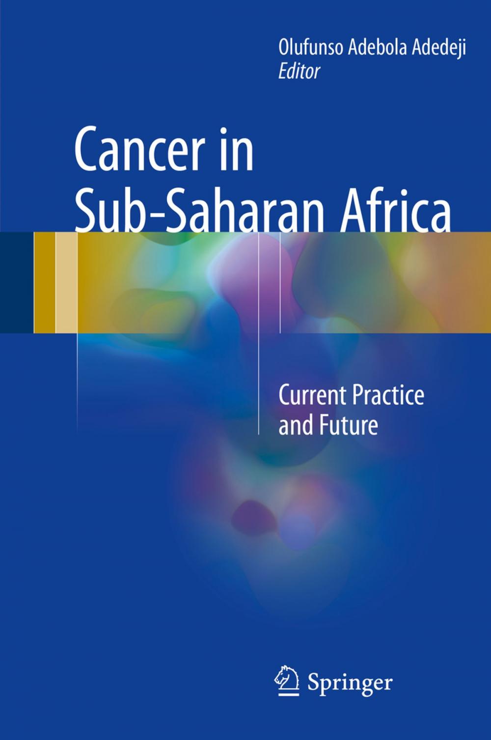 Big bigCover of Cancer in Sub-Saharan Africa