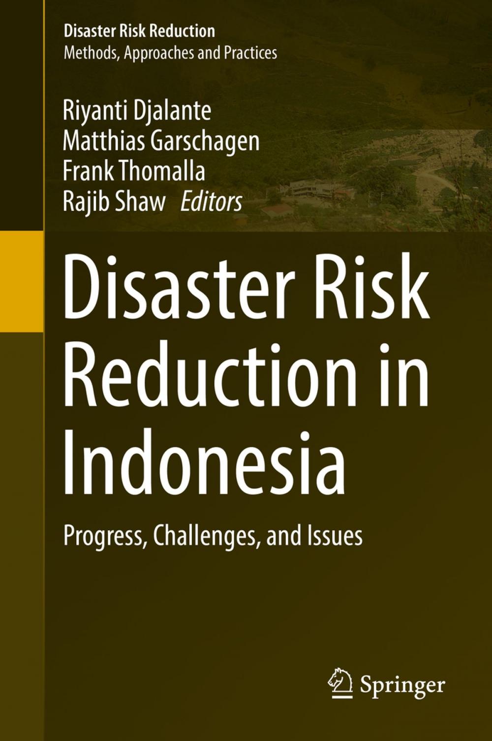 Big bigCover of Disaster Risk Reduction in Indonesia