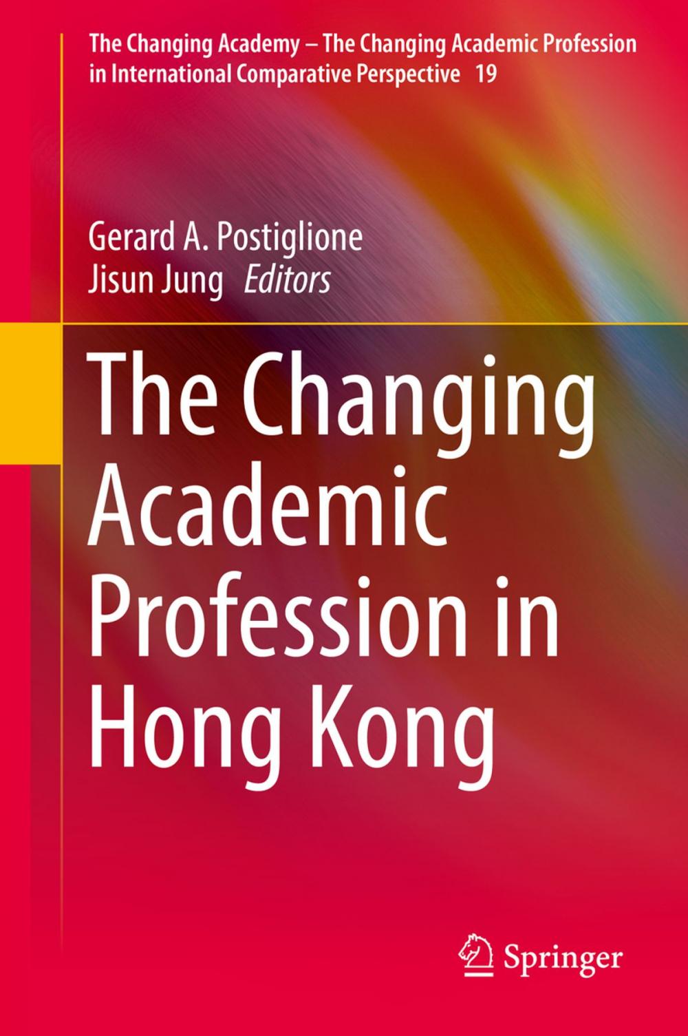 Big bigCover of The Changing Academic Profession in Hong Kong